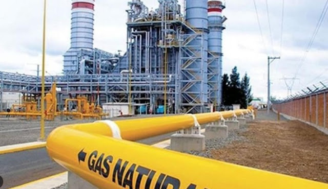 Diputada argentina presenta proyecto para aclarar cambio en contrato de gas con Bolivia Gas en Bolivia, suministro y distribución.