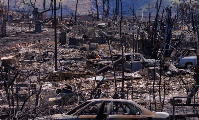 Biden viajará a Maui para supervisar la recuperación y otorgar apoyo Paisaje tropical de Hawaii con palmeras.