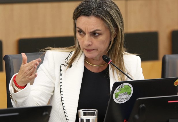 Proponen reforma para una canasta básica tributaria más justa en Costa Rica Imagen del poder legislativo en México.