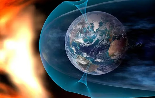 Mega telescopios en Chile abren la puerta a la búsqueda de vida en el universo Planta en maceta sobre tierra.