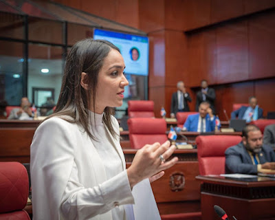 Faride Raful ganaría la senaduría del Distrito Nacional, de acuerdo con encuesta Retrato de Farid en fondo neutro.