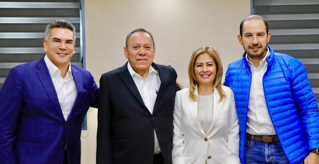 Lucía Meza renuncia a Morena y se une al Frente Amplío por México Retrato de Lucía Meza.