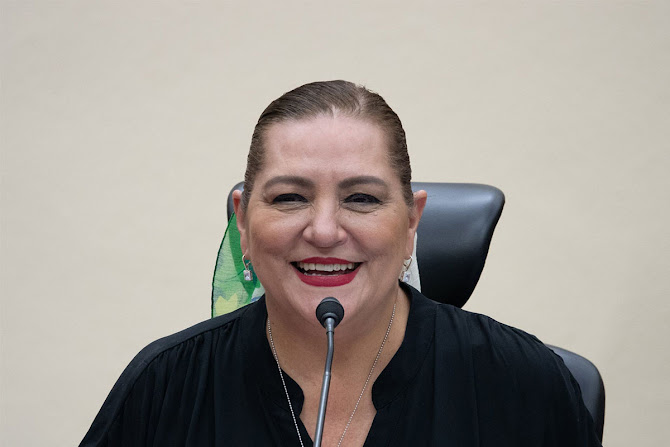 INE debe evolucionar, no desaparecer: Guadalupe Taddei Retrato de Guadalupe Taddei Zavala.