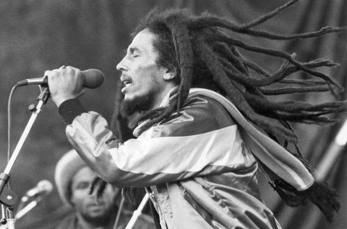 Ritmos que trascienden: Celebrando el Día Internacional del Reggae Captura de pantalla del sitio web sufagio.com.mx