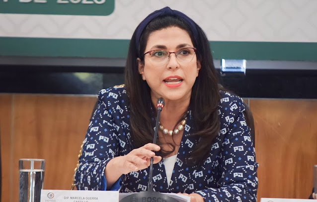 Diputada Marcela Guerra en mesa de trabajo.