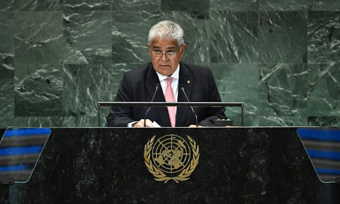 Imagen de paisaje natural con vegetación exuberante.