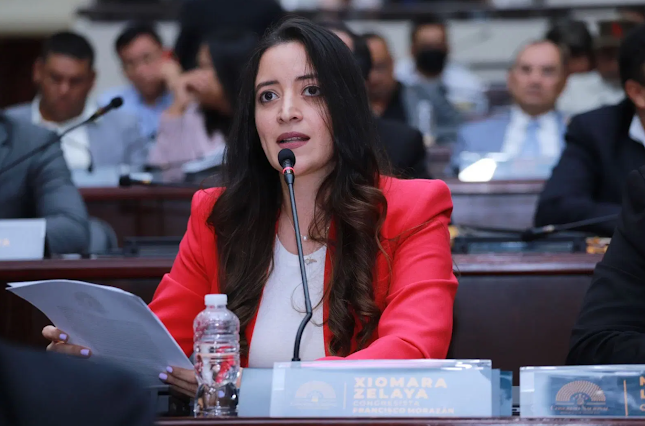 Xiomara Hortencia Zelaya, nominada para liderar el movimiento M28 de Libre tras la renuncia de Carlos Zelaya Captura de pantalla del sitio web Sufragio.