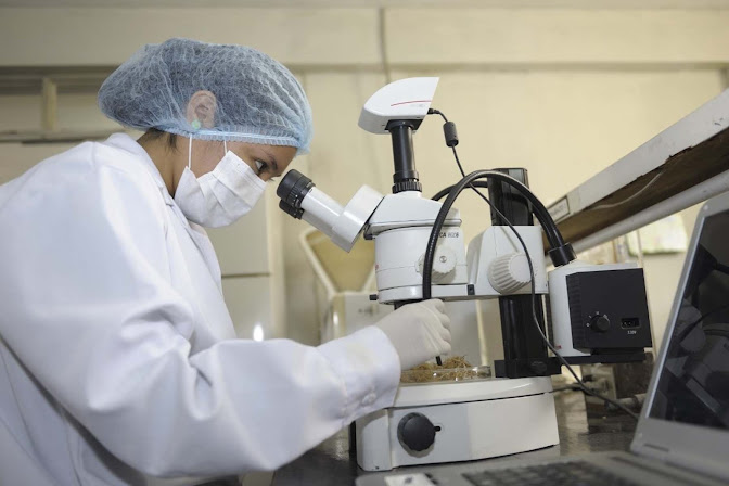 25 Mujeres en la Ciencia: Un concurso para inspirar a las jóvenes latinoamericanas en STEM Imagen de un paisaje natural con montañas.