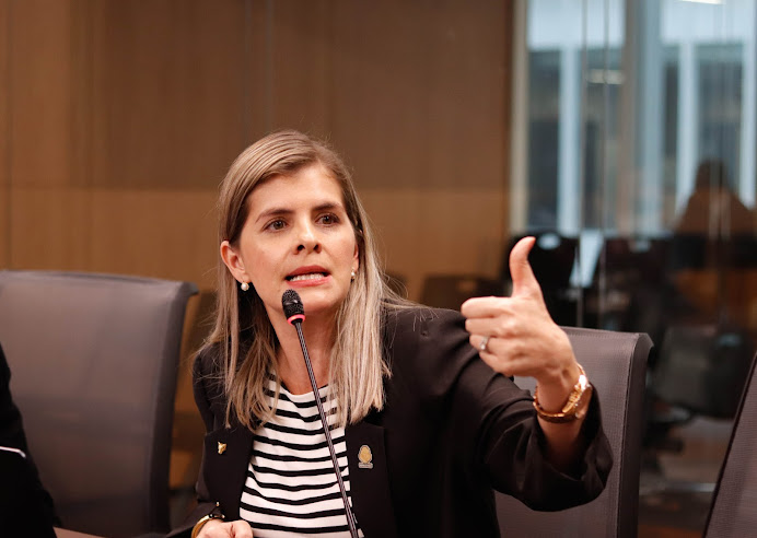 Laura Fernández se confirma como candidata presidencial del oficialismo costarricense Retrato de Laura F. en fondo neutro.