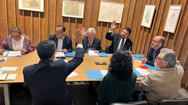 Aurora Melo Miranda, fuerte aspirante para integrar el Consejo Ciudadano del Instituto de Planeación Democrática y Prospectiva de la CDMX Imagen de WhatsApp del 11 de agosto de 2025.