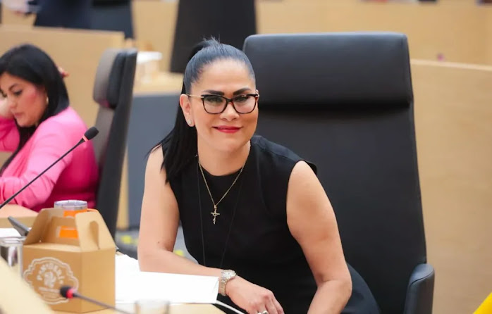 Diputada propone medidas obligatorias de seguridad en fraccionamientos y conjuntos habitacionales de Puebla Congreso exige medidas de seguridad en fraccionamientos.