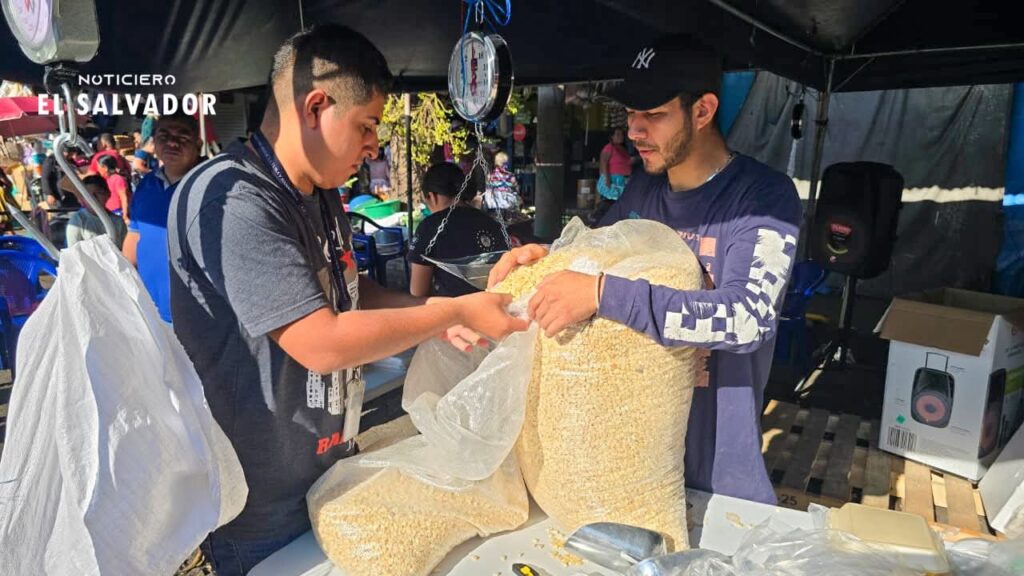 Gobierno habilita puntos de venta de maíz a precio accesible Gobierno habilita puntos de venta de maíz a precio accesible