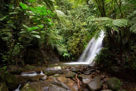Ecuador recibe US$23 millones para reducir riesgos climáticos