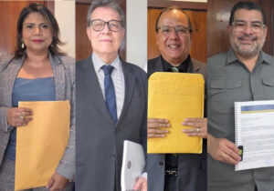 Más de 12 aspirantes buscan cargos en CNE y TJE de Honduras