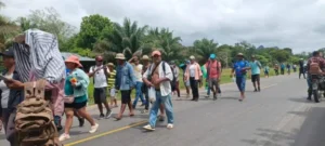 Bolivia protege pequeña propiedad agraria en Pando y Beni