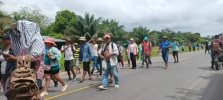 Bolivia protege pequeña propiedad agraria en Pando y Beni