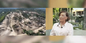 Alcaldesa de La Vega denuncia tala ilegal en Santo Cerro