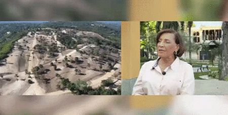 Alcaldesa de La Vega denuncia tala ilegal en Santo Cerro