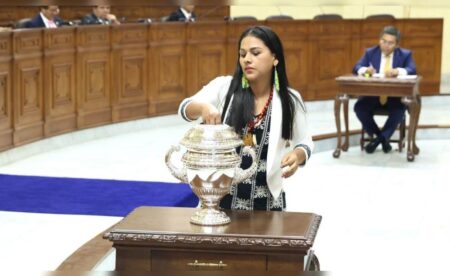 Silvana Robles explica ausencia de su voto en elección del Senado