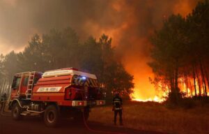 Incendio en Ávila arrasa 50,000 hectáreas, récord en España Incendio en Ávila arrasa 50,000 hectáreas, récord en España