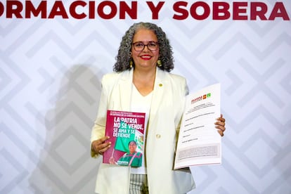 Graciela Domínguez asume como gobernadora interina de Sinaloa Graciela Domínguez asume como gobernadora interina de Sinaloa