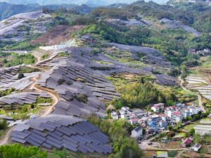 China ajusta desarrollo solar para proteger aves y biodiversidad
