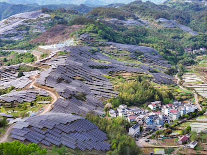 China ajusta desarrollo solar para proteger aves y biodiversidad