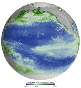 El Niño 2026 reduce fitoplancton y agrava crisis del Pacífico El Niño 2026 reduce fitoplancton y agrava crisis del Pacífico