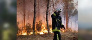 Incendio en High Fens, Bélgica: 3,000 hectáreas arrasadas Incendio en High Fens, Bélgica: 3,000 hectáreas arrasadas