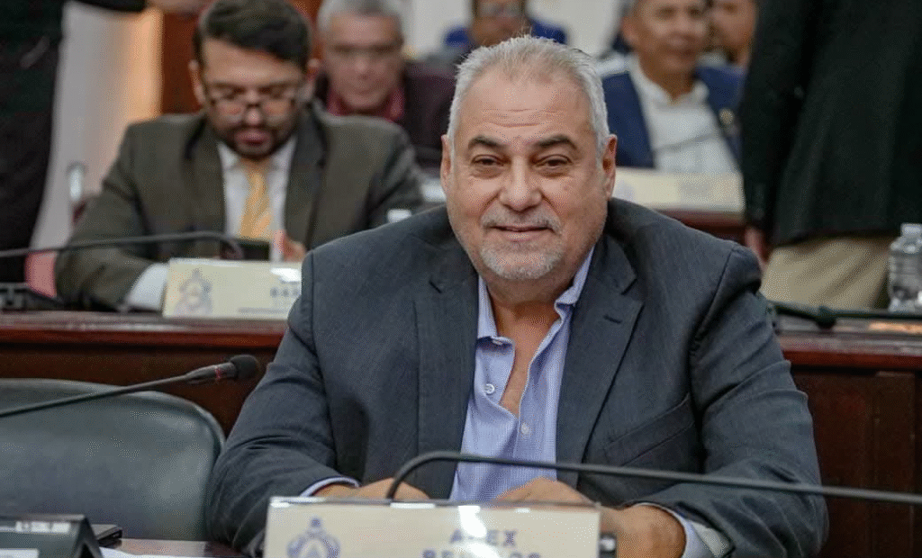 Diputado denuncia presión de empresas térmicas en reforma eléctrica Diputado denuncia presión de empresas térmicas en reforma eléctrica