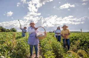 Gobierno aprueba Fideicomiso por Decreto Supremo 5720