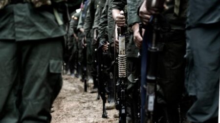 Argentina declara terroristas al Cártel de Sinaloa, FARC y ELN Argentina declara terroristas al Cártel de Sinaloa, FARC y ELN