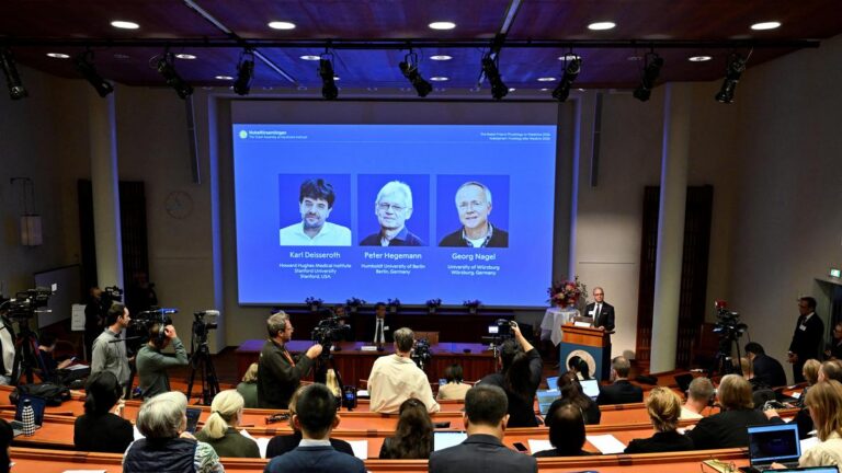 Premios Nobel 2026: debate por exclusión de científicos clave Premios Nobel 2026: debate por exclusión de científicos clave